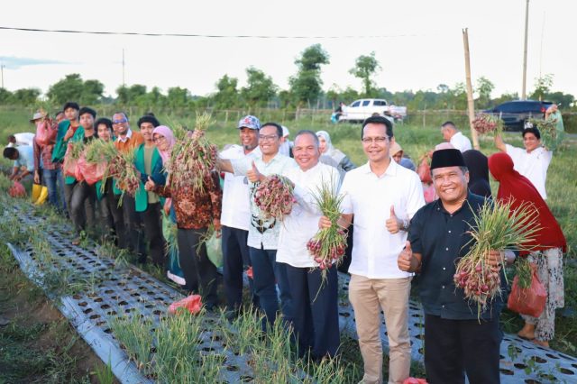 Konsorsium bawang Pidie